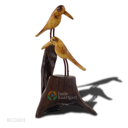 BIRD COUPLE: A Portrait Of Companionship