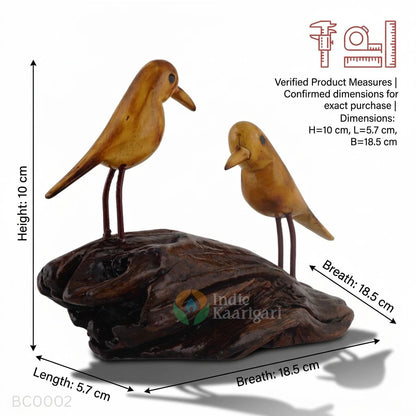 BIRD COUPLE: A Portrait Of Companionship