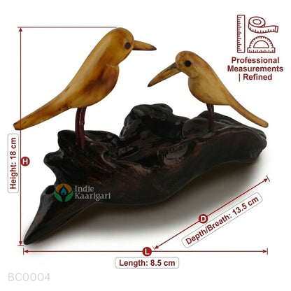 BIRD COUPLE: A Portrait Of Companionship