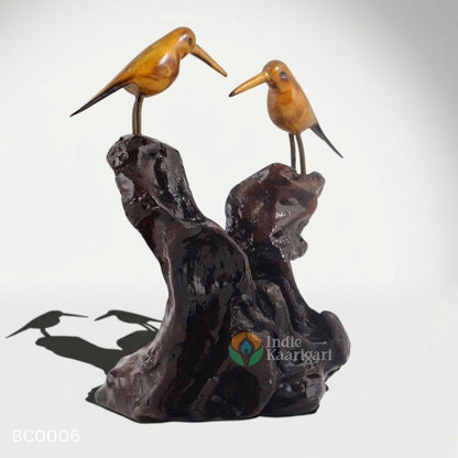 BIRD COUPLE: A Portrait Of Companionship