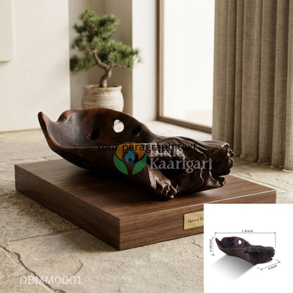 Decorative Bowls Designed & Seasoned by Nature-Medium Matte