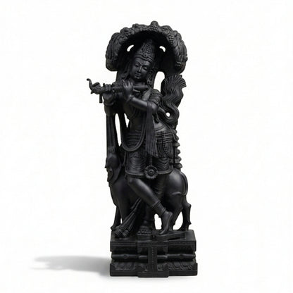KGKK00101.jpg