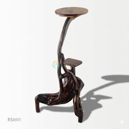 rs00011 (1).jpg