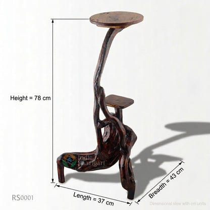 rs00014 (1).jpg